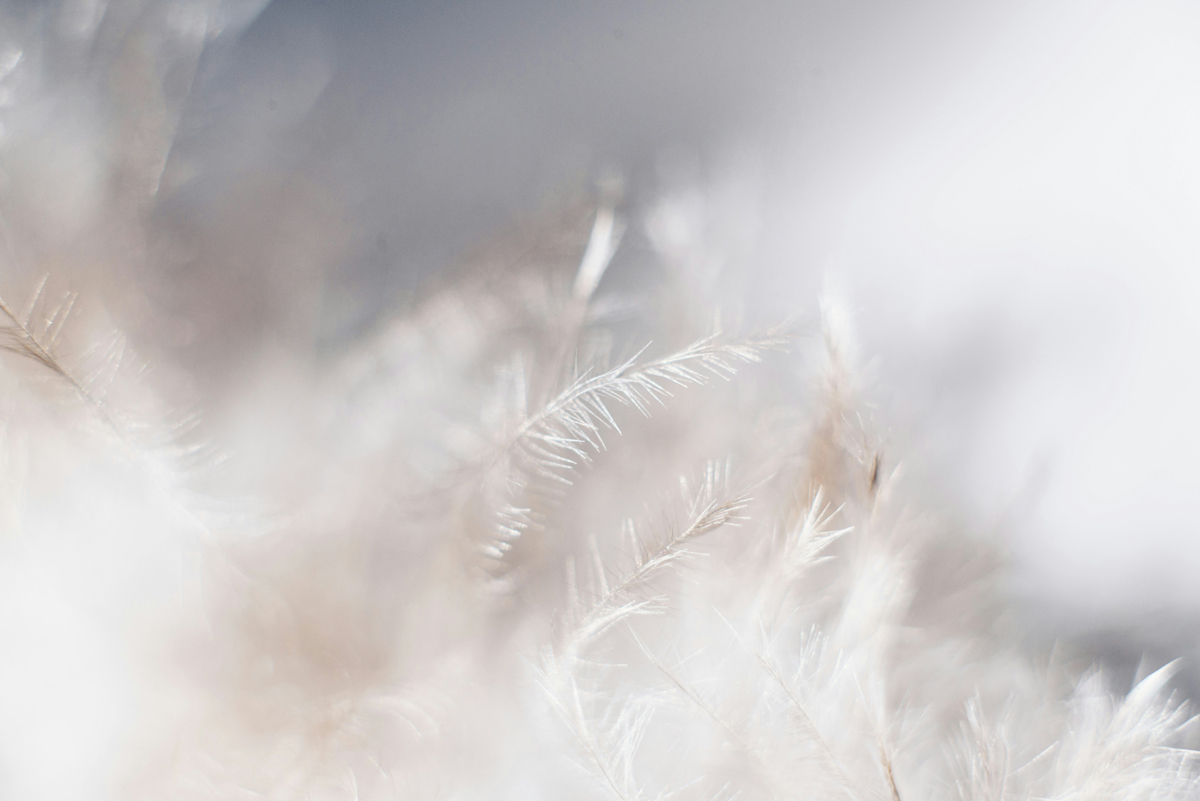 evie-s-Sw7f58YJbc0-unsplash evie s Sw7f58YJbc0 unsplash